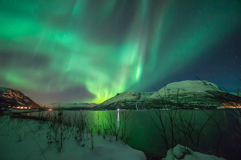 De Tromsø: Perseguição de ônibus guiada pela aurora borealDe Tromsø: Tour Guiado de Ônibus em Busca da Aurora Boreal