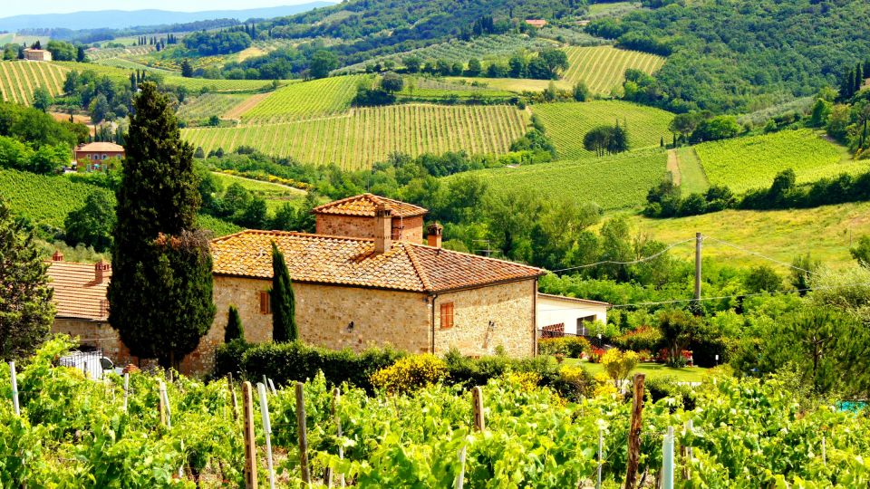 Tuscany Taster Tour: Day Trip from Rome with Lunch & Wine