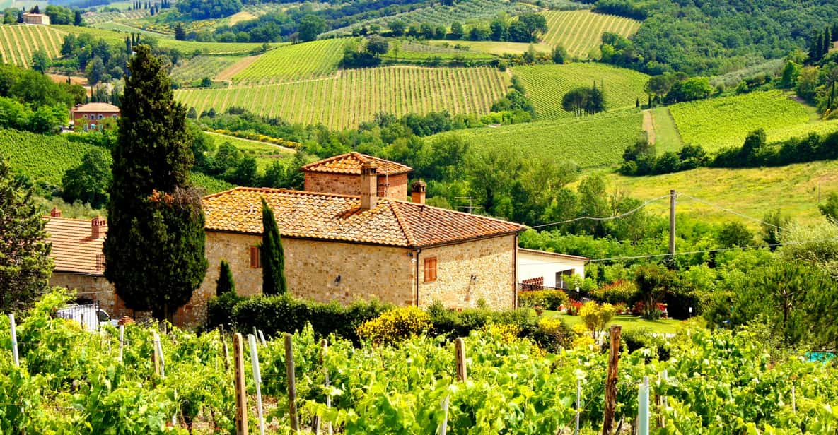 Tuscany Taster Tour: Day Trip from Rome with Lunch & Wine
