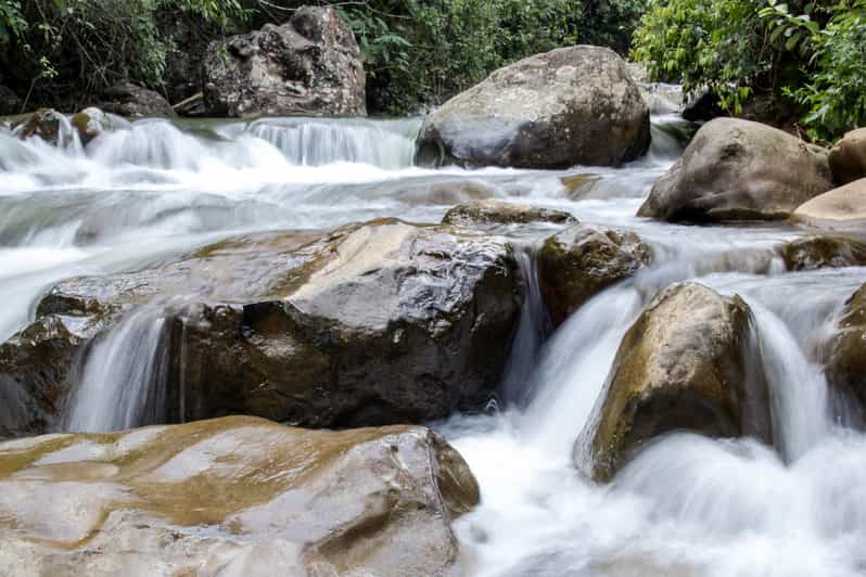 Cali Farallones Naturreservat Geführte Wandertour GetYourGuide