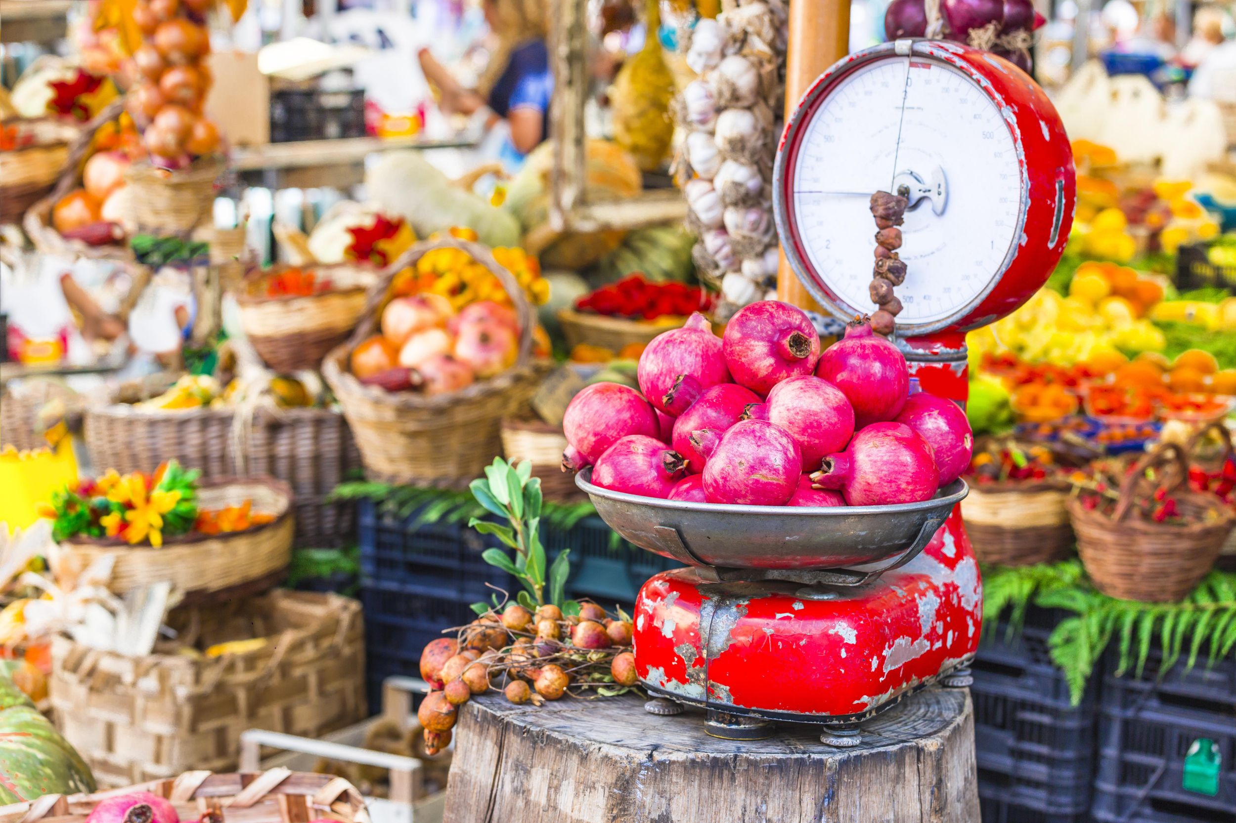 Modena: Markt und Mittagessen/Abendessen bei einem Einheimischen