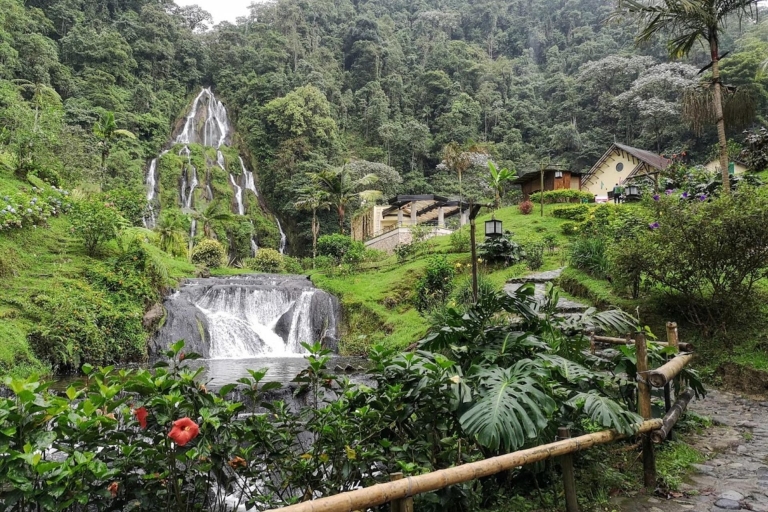 Colombia's 3 assen van diversiteit op deze 8-daagse rondreis5-sterren hotel