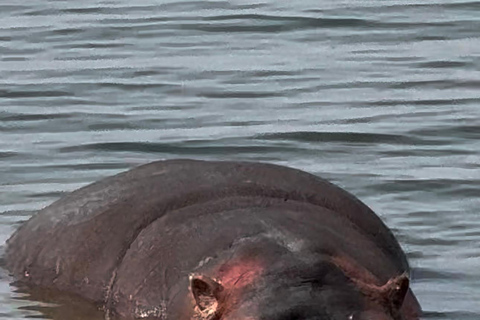 From Addis Ababa: Gambela 3-Day Tour with Flights