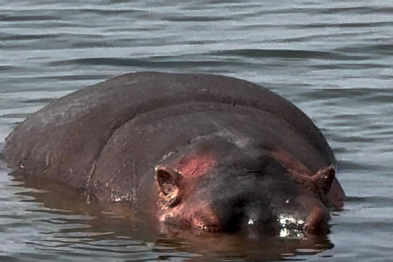 From Addis Ababa: Gambela 3-Day Tour with Flights