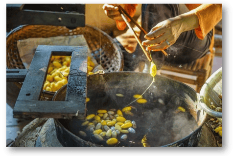 Hoi An: tour de meio dia pelo processo de produção de tecido de sedaTour em Grupo (máx. 15 pax / grupo)