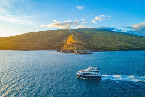 Desde el puerto de Ma'alaea: crucero de avistamiento de ballenasDesde el puerto de Ma'alaea: aventura de esnórquel en Molokini