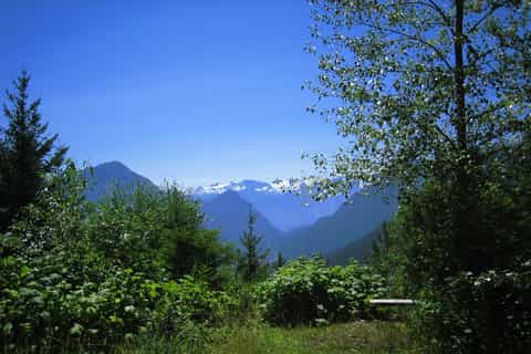 Birkenhead Lake Half-Day Mountain Ride