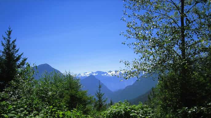 birkenhead lake halfday mountain ride