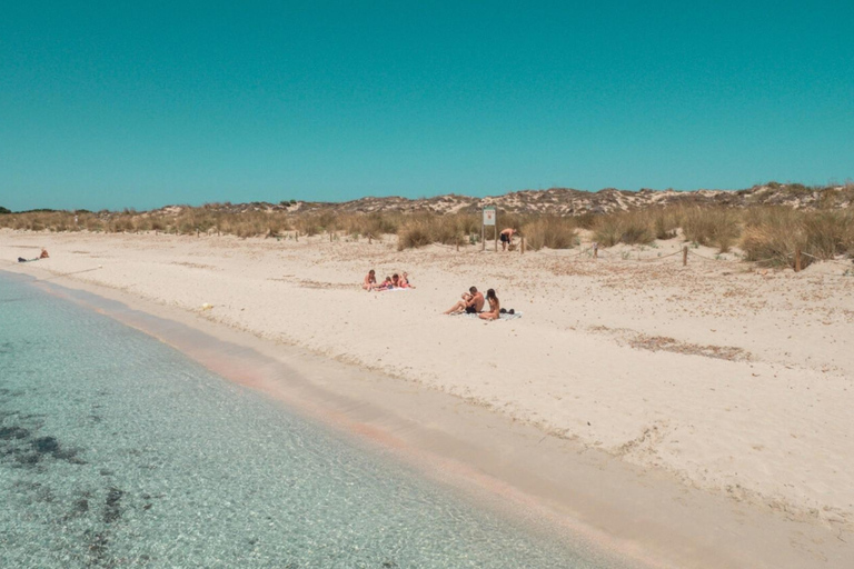 Ibiza: Formentera Tour with Meals Water Activity & Free Time