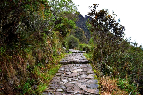 Von Cusco aus: 7-tägige Wanderung nach Machu Picchu über den Inka-Pfad