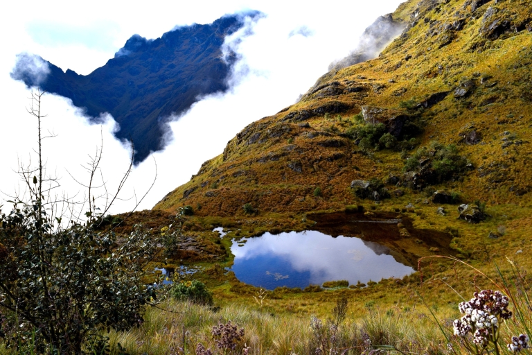 Au départ de Cusco : Trek de 7 jours vers le Machu Picchu par le Chemin Inca