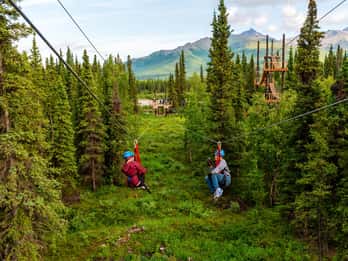 Denali Park Zipline Abenteuer Denali Park Zipline Abenteuer