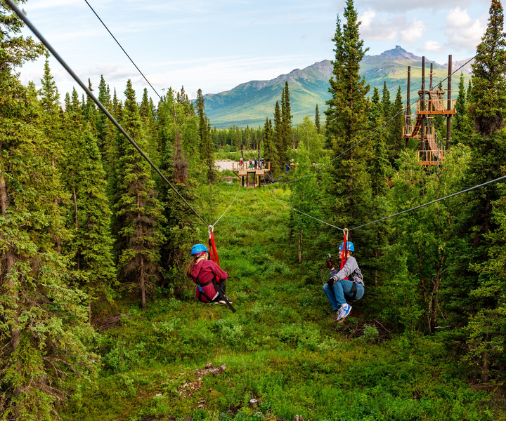 Denali Park Zipline Adventure