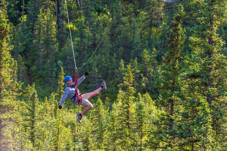 Denali Park Zipline Adventure GetYourGuide   145 