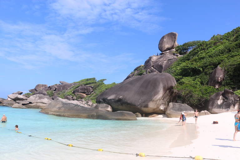 De Khao Lak: mergulho de dia inteiro nas ilhas Similan