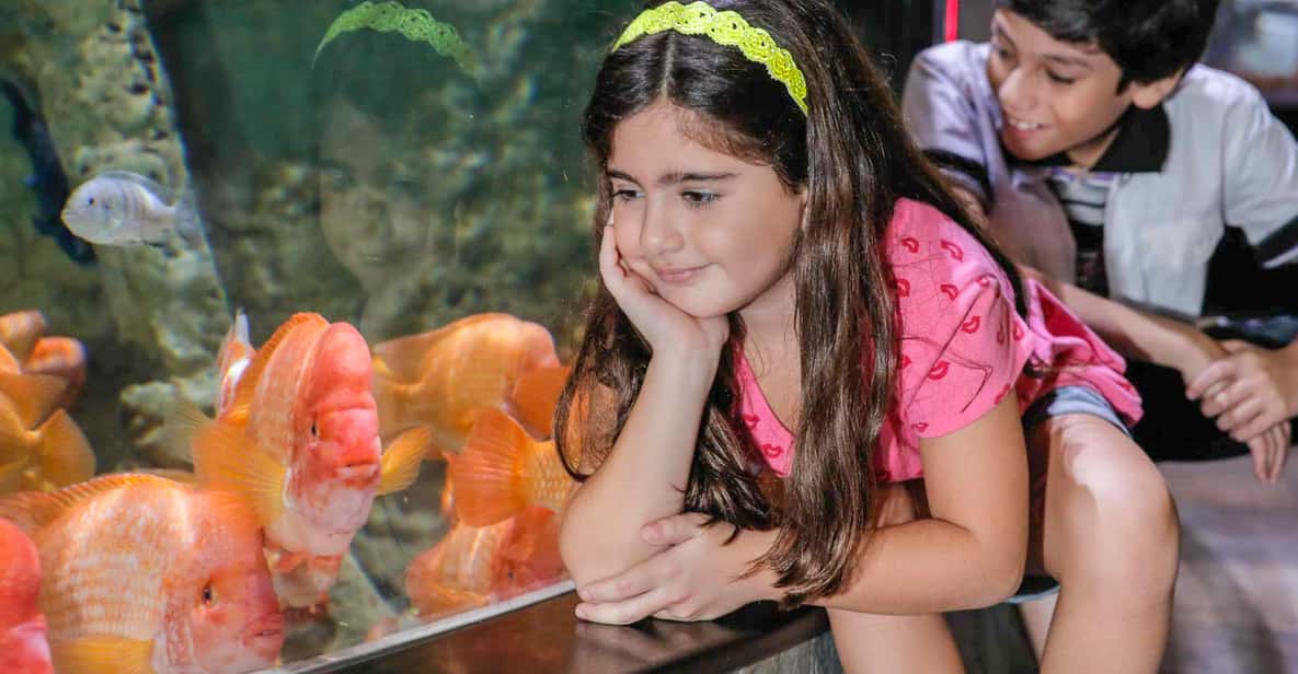 Dubai Aquarium & Underwater Zoo: entrada de 1 día