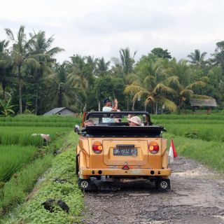 Bali's Rice Fields & Volcanoes in a Vintage VW Cabriolet