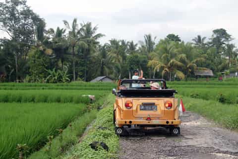 Bali's Rice Fields & Volcanoes in a Vintage VW Cabriolet