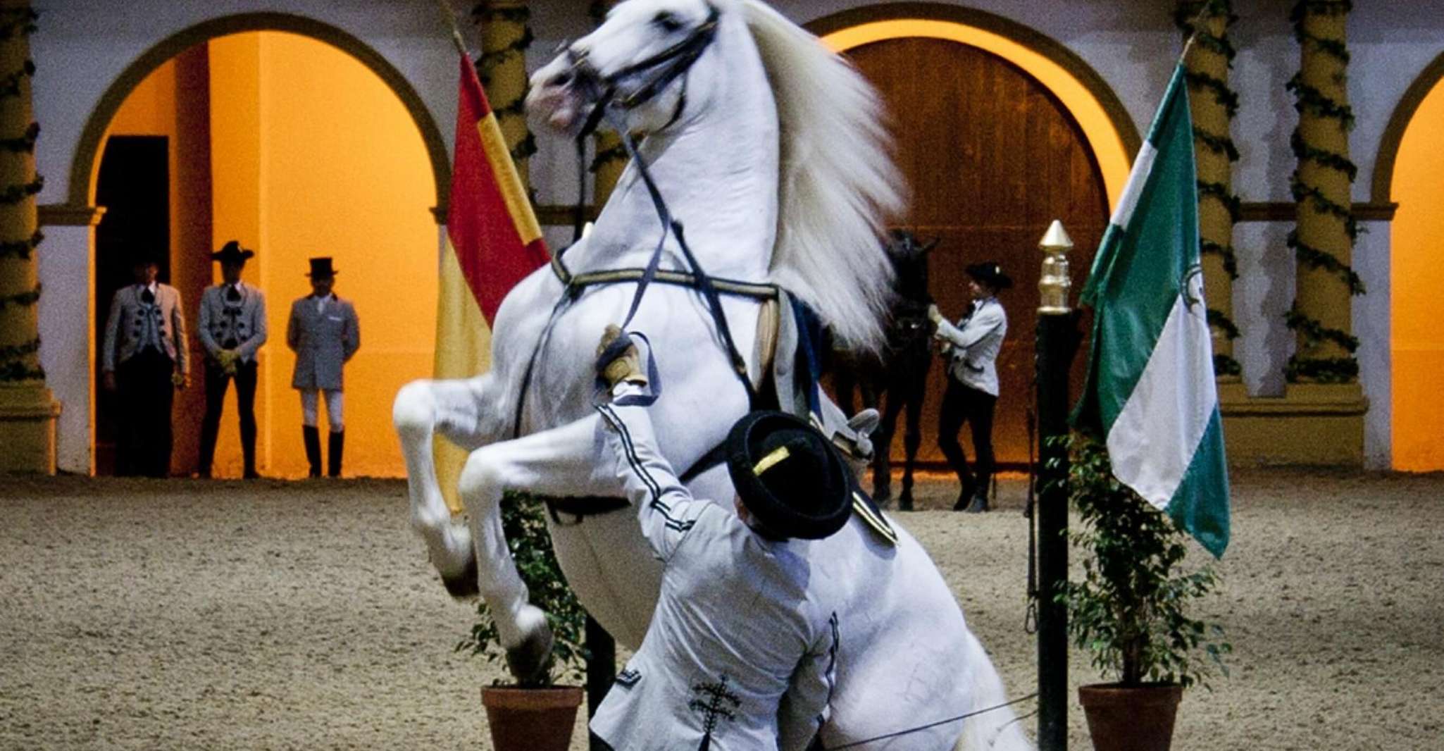 Seville: Jerez, Cadiz Wine Tasting with Optional Horse Show photo 1
