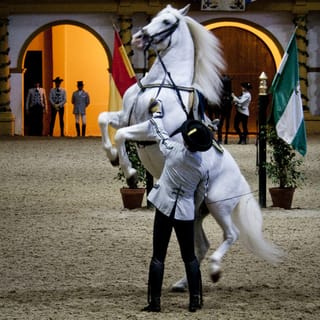 Siviglia: degustazione di vini a Jerez e Cadice e gita di un giorno allo spettacolo ippico