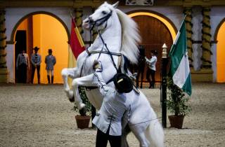 Sevilla: Tagesausflug nach Jerez und Cádiz mit Weinverkostung und Pferdeshow