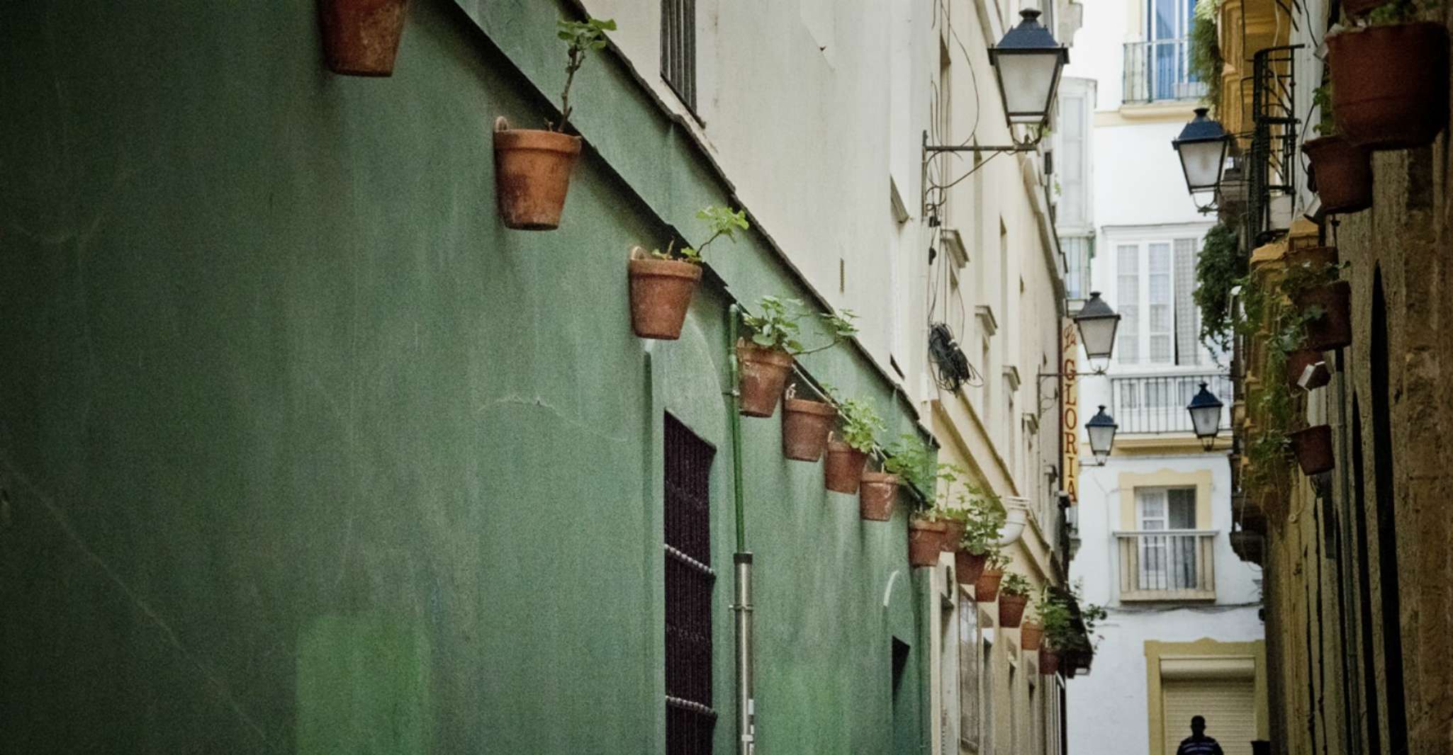 Seville: Jerez, Cadiz Wine Tasting with Optional Horse Show photo 4