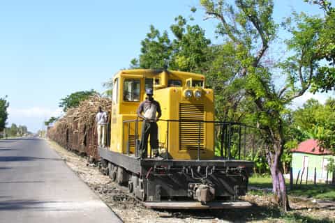 santo domingo the heritage of sugar cane
