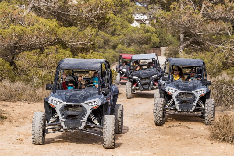 Ibiza: Guided Buggy Tour with Beach Stops