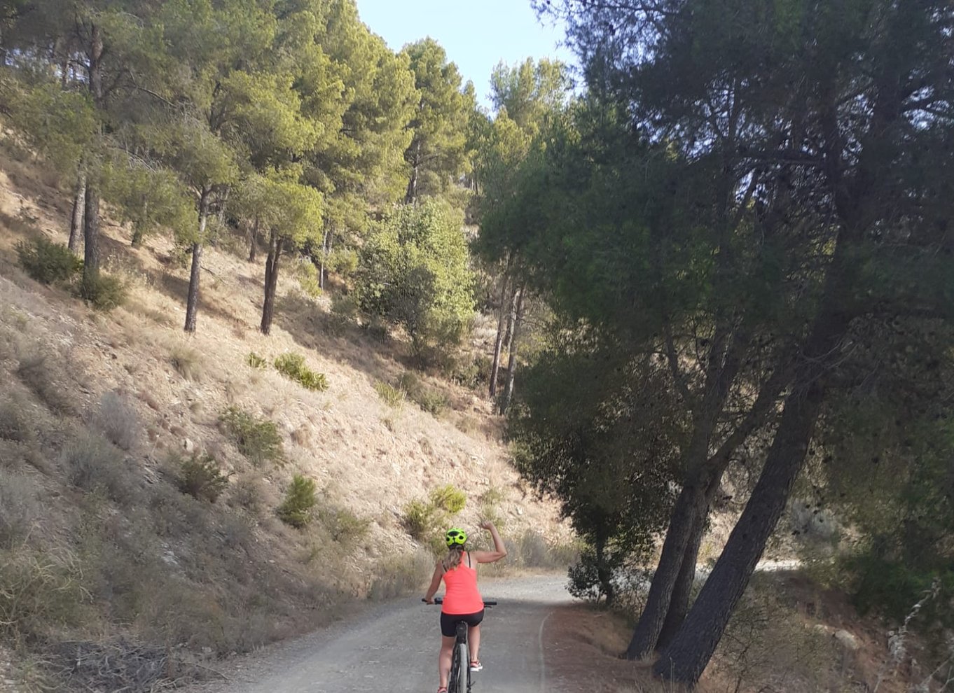 Málaga: 3-timers elcykeltur i naturparken Montes de Malaga