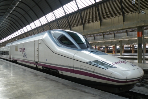Séville: Transfert à la gare de Santa JustaTransfert à la gare Santa Justa de Séville