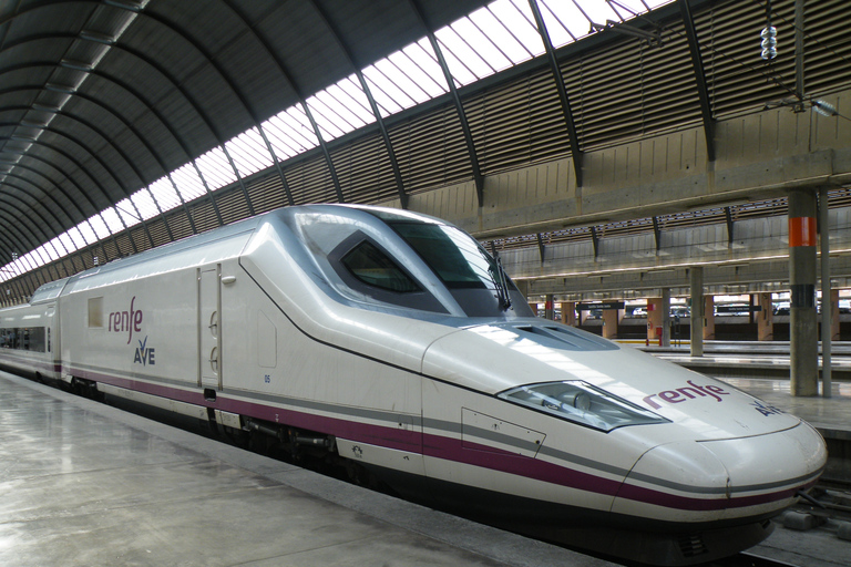 Sevilla: transfer naar het treinstation Santa JustaTransfer naar het Santa Justa-treinstation in Sevilla