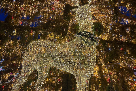 From Bucharest: Sinaia, Bușteni, Brașov, Dracula Castle