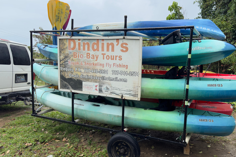 Kajak ervaring in de Mosquito baai in Vieques