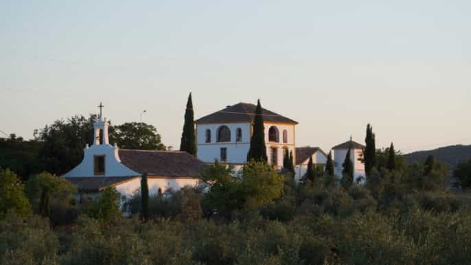 cordoba olive oil mill and wine region tour