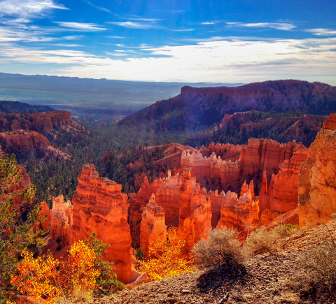 National parks
