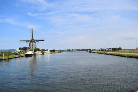 Amsterdam: Tour to Keukenhof Gardens with Windmill Cruise