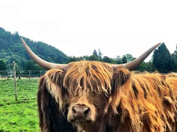 Edinburgh: Private Tour Edinburgh: Private Tour