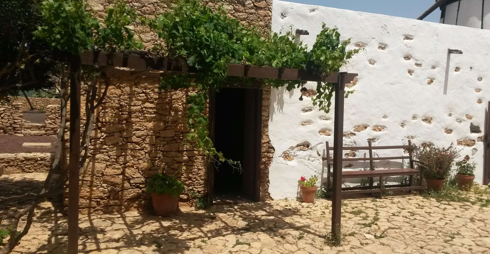 Fuerteventura, Full Day Tour with Lunch - Housity