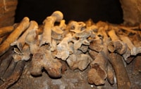 Rome, Tour to Discover Underground Secrets, Small Group - Housity