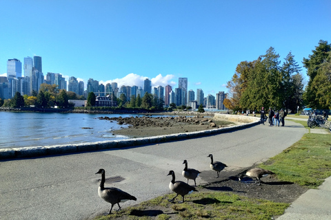 4TOUR COMBO LUX CAR:STANLEY PARK/CAPILANO LAKE/DAM/HATCHERY