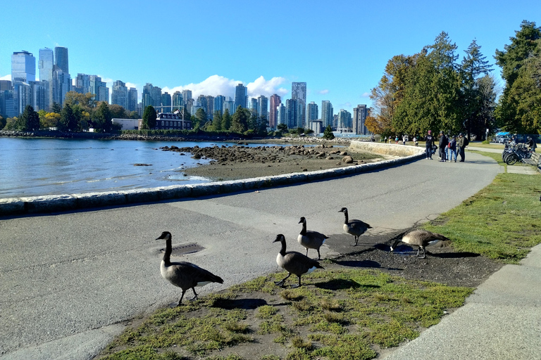 4TOUR COMBO LUX CAR: STANLEY PARK/CAPILANO LAKE/DAM/HATCHERY