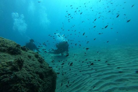 Salou : plongée sous-marine pour débutants