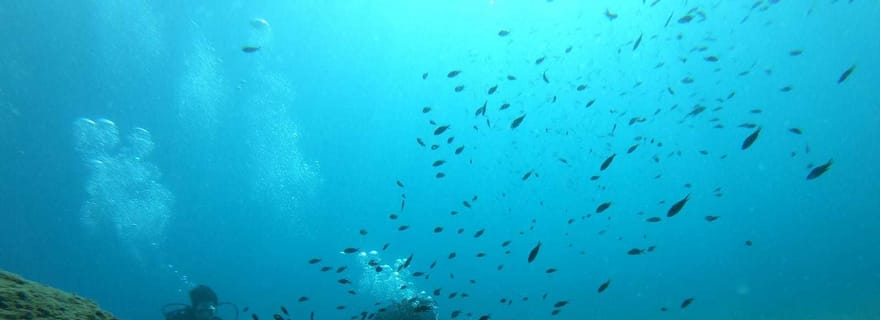 Salou : Plongée sous-marine pour débutants