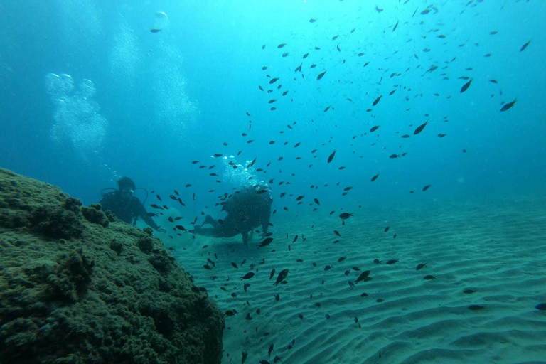 Salou: Scuba Diving for Beginners