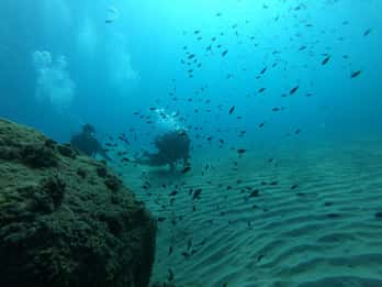 Salou: Scuba Diving for Beginners