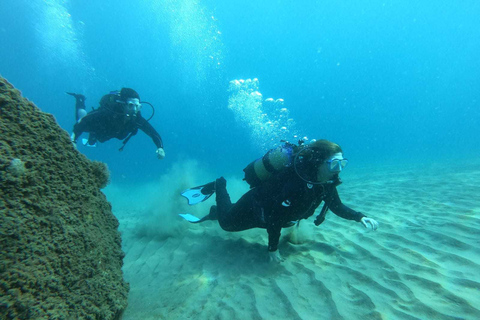 Salou: Scuba Diving for Beginners