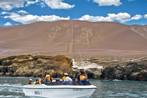 Paracas & Ica: 2-Day Tour with Huacachina and Camel Ride