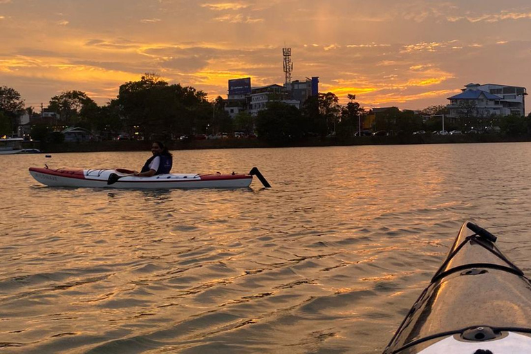 Colombo: Diyawanna Lake Kayaking Experience Single Kayak