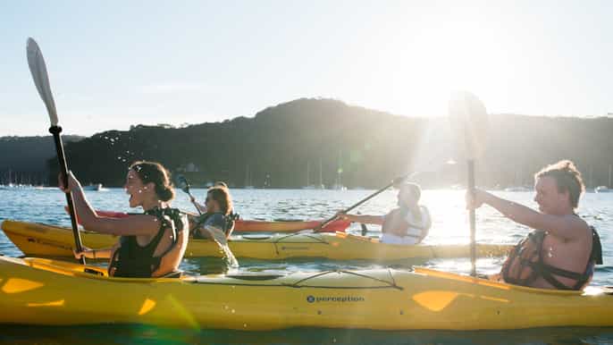 pittwater discovery halfday kayaking tour