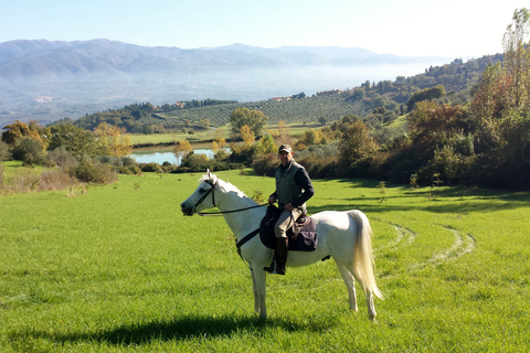 From Florence: Horse Ride and Wine Tour at Estate with Lunch